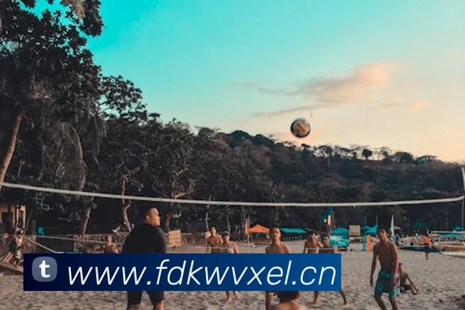 华体网首页官网APP 封面图